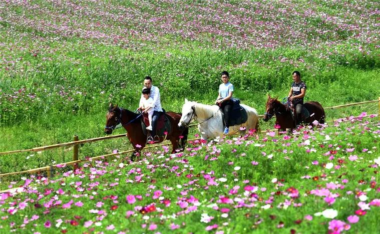 怎么消费的? ,生意好[赞][赞] 四川鸿景添旅游公司